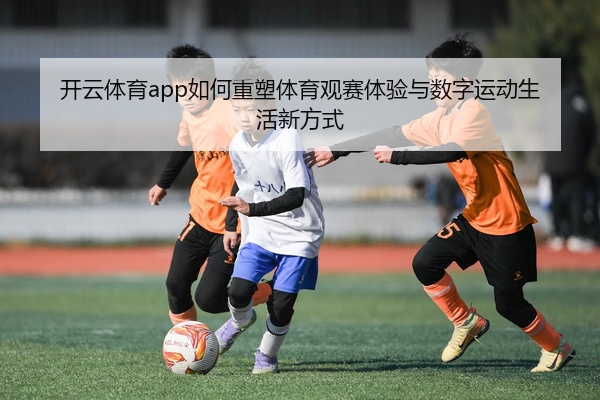 img_1777454045396_197_1_652.jpg